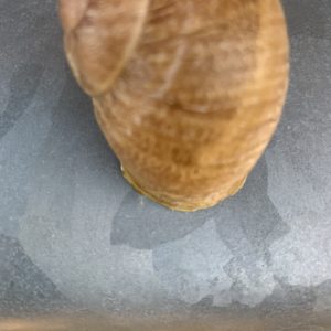 Frühstück am 20.09.2026